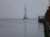 2011 Zeilen046_small.jpg